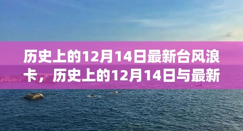 历史上的12月14日与最新台风浪卡，多方观点与个人立场探析