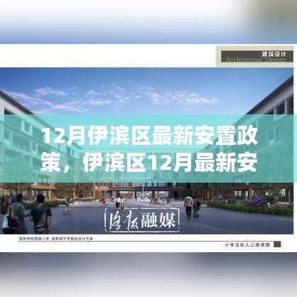 伊滨区12月最新安置政策详解，顺利安置指南