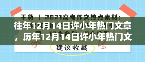 聚焦历年热点，许小年文章概览与要点解析