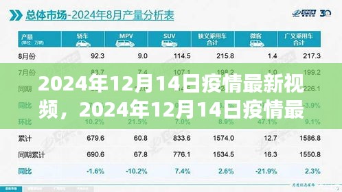 2024年12月14日疫情最新视频全面评测与介绍