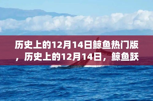 历史上的12月14日，鲸鱼跃升成就梦想之舟的辉煌日