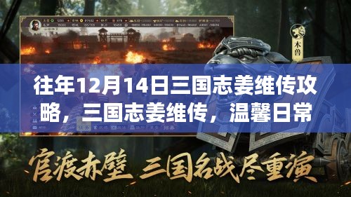 三国志姜维传攻略，日常之旅与友情的温暖纽带（往年12月14日版）