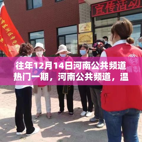 河南公共频道温馨邻里欢乐共融，特别的十二月十四日节目回顾