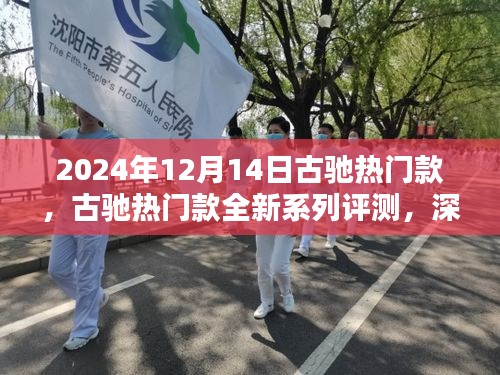 古驰全新系列评测，独特魅力与用户体验深度解析（2024年12月）