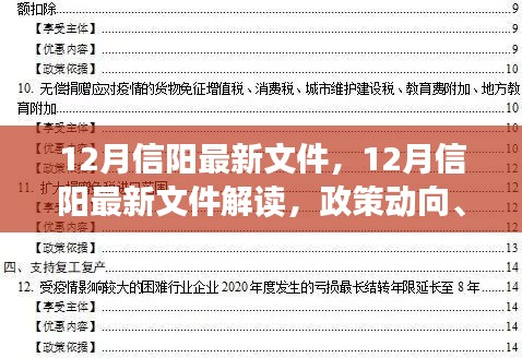 12月信阳最新文件解读，政策动向、影响及案例分析