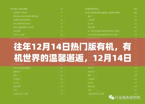 12月14日有机世界的温馨奇遇记