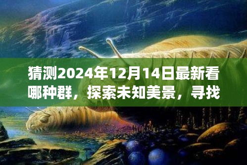 探索未知美景，心灵栖息之旅，2024年12月14日群探猜想启程