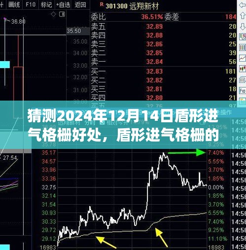 盾形进气格栅的优势展望，未来在2024年12月14日的潜在优势分析猜测报告