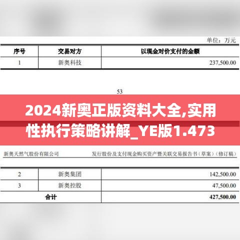 2024新奥正版资料大全,实用性执行策略讲解_YE版1.473