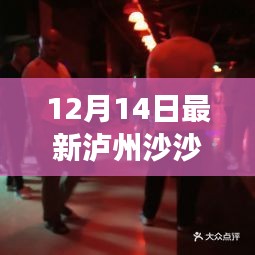 揭秘最新泸州沙沙舞厅地点，12月14日泸州夜生活指南