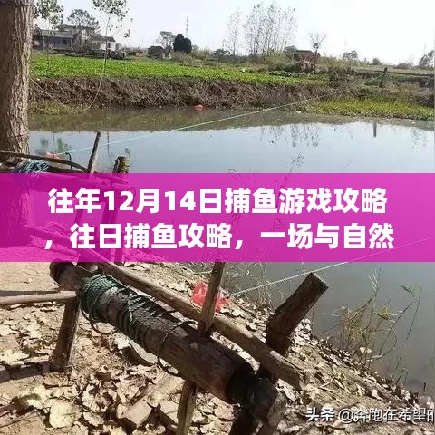 往年12月14日捕鱼游戏攻略，与自然美景的邂逅之旅