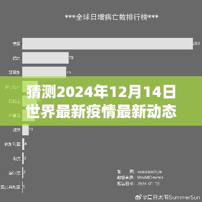 2024年12月14日全球疫情新态势下的隐秘角落，小巷特色小店与全球最新疫情动态