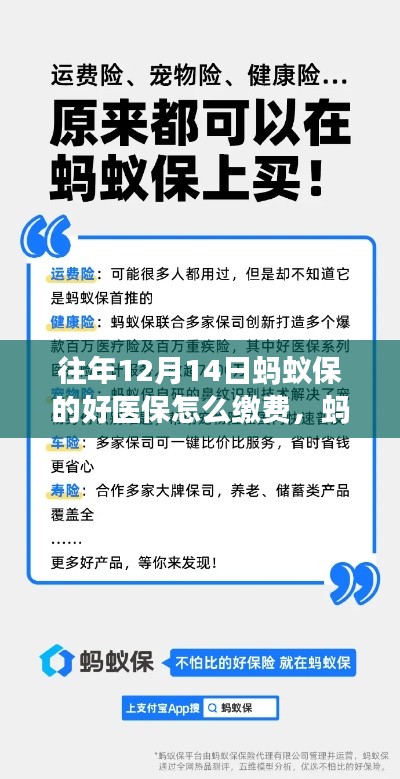 蚂蚁保好医保缴费指南，回顾往年流程，展望新一年缴费方式