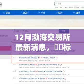 渤海交易所冬季新动态，探寻内心平静的金融风景