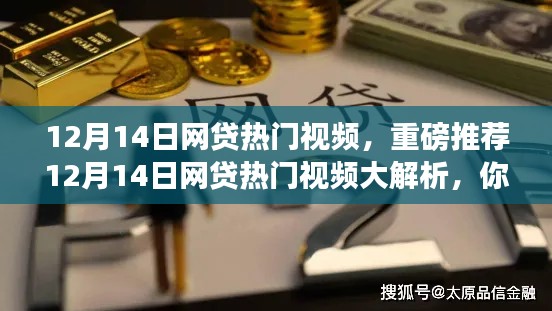 重磅推荐，12月14日网贷热门视频解析与回顾，你错过了吗？