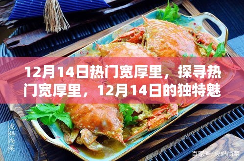 探寻热门宽厚里，12月14日的独特魅力与风情展示