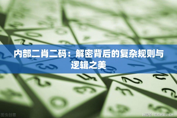 内部二肖二码：解密背后的复杂规则与逻辑之美