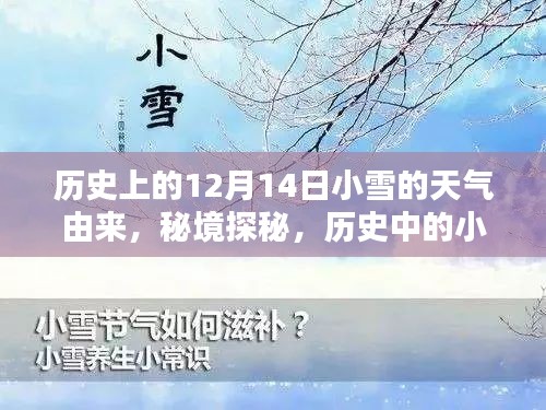 揭秘历史中的小雪，秘境探秘与小巷特色小店的奇妙缘分