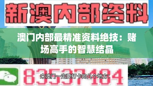 澳门内部最精准资料绝技：赌场高手的智慧结晶