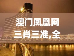 澳门凤凰网三肖三准,全面解答解释落实_铂金版9.311