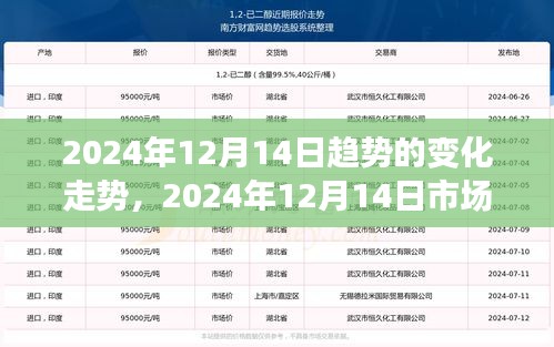 2024年12月14日市场趋势深刻变革与未来走向预测