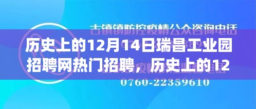 历史上的12月14日瑞昌工业园招聘网热门现象，深度分析与观点阐述