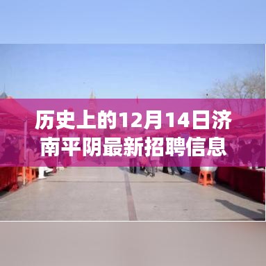 济南平阴最新招聘信息独家爆料，历史今日与未来趋势解析（12月14日更新）