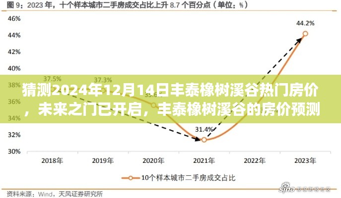 2024年12月17日 第28页