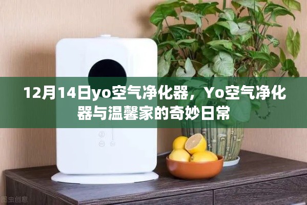 温馨家中的奇妙日常，Yo空气净化器与家的故事