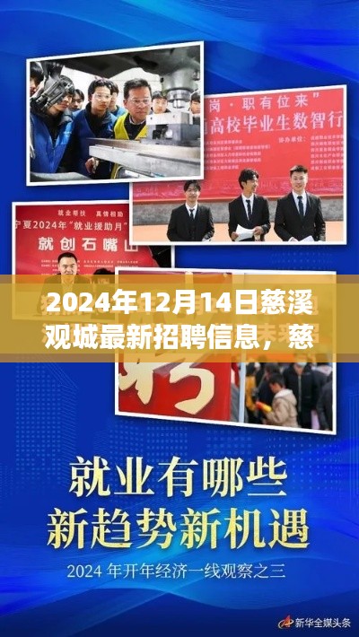 慈溪观城最新招聘信息及职场趋势与个人选择分析（2024年）