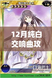 深入解析，12月纯白交响曲攻略——音乐传奇之旅全面指南