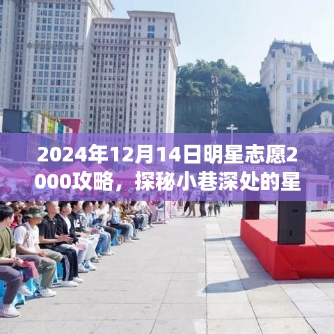 探秘星光秘境，明星志愿2000攻略之旅（2024年12月14日版）