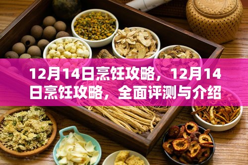 独家揭秘，12月14日烹饪攻略详解与美食评测指南