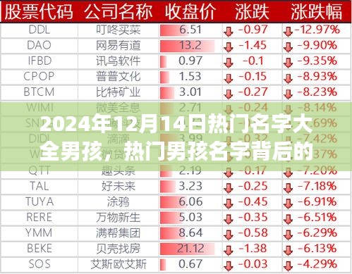 关于男孩名字选择的探讨，热门名字背后的文化趋势与社会影响（2024年12月14日版）