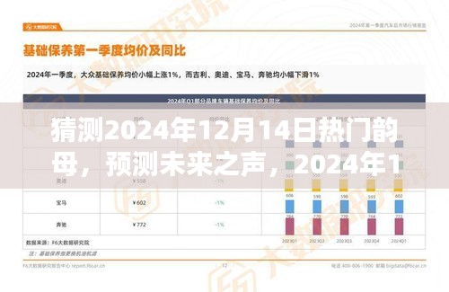 揭秘未来之声，2024年热门韵母预测与探微