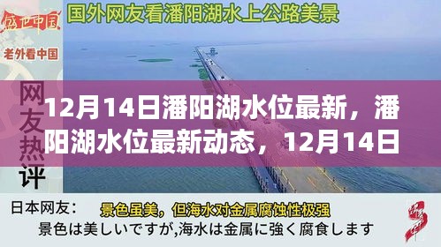 潘阳湖水位最新动态，12月14日的观察与影响分析