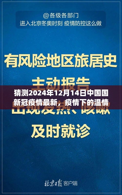 未来温情时光，疫情下的中国日常与友情故事，2024年12月14日疫情最新猜测