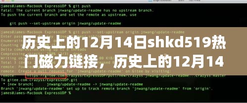 历史上的12月14日，shkd519磁力链接背后的励志故事与自信成就之门开启