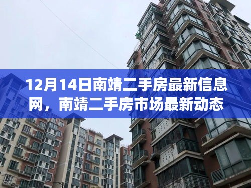 南靖二手房市场最新动态，聚焦12月14日最新信息更新