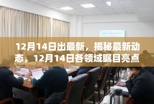 揭秘最新动态，各领域瞩目亮点解析（12月14日最新更新）