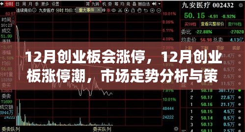 12月创业板走势分析与策略布局，涨停潮预期与市场洞察