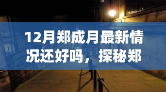 探秘郑成月最新动态与隐藏小巷的特色风情小店