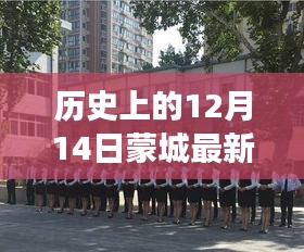 蒙城最新学校，温馨有趣的日常故事在12月14日展现