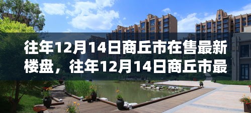 2024年12月17日 第2页