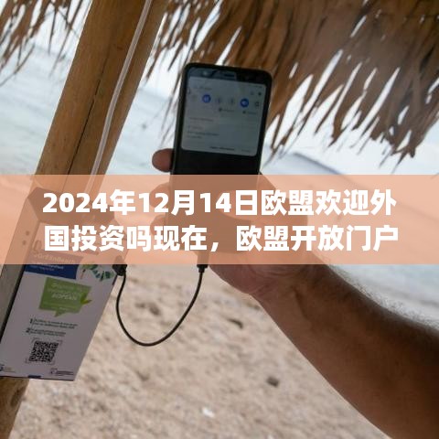 欧盟开放门户欢迎外国投资，引领未来科技生活新纪元，2024年高科技盛宴开启