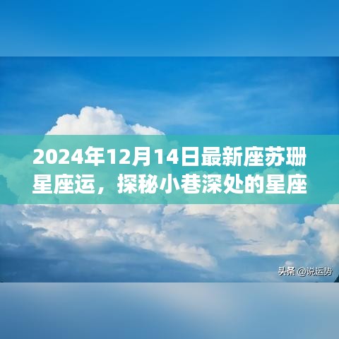 独家揭秘！苏珊星座运势2024年12月运势深度解析