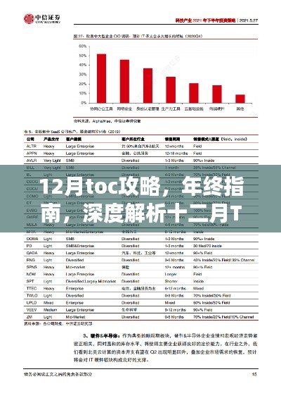 年终终极指南，深度解析十二月TOC攻略，带你掌握产品特性与极致体验