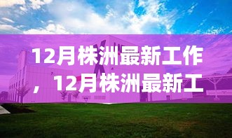 12月株洲最新工作机会，职业发展的理想选择