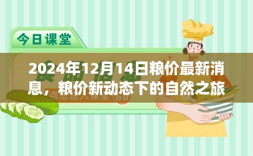 粮价新动态下的自然之旅，寻找内心平静的奇妙探险（2024年粮价最新消息）