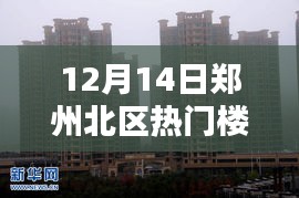 郑州北区热门楼盘探访，12月14日购房全攻略